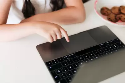 Animize Animator Maker Course